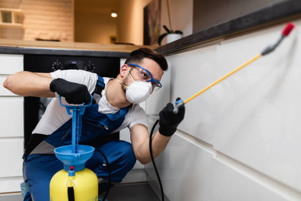 Best Wasp Removal Services  in Rutherfordton, NC