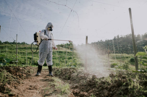 Best Best Pest Control Companies  in Rutherfordton, NC