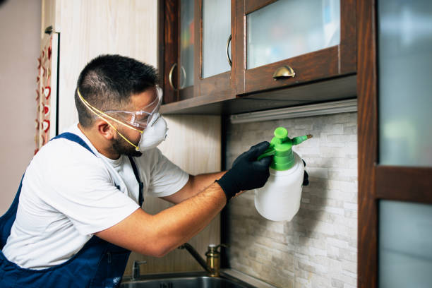 Best Best Pest Control Companies  in Rutherfordton, NC