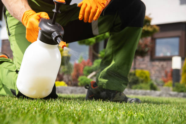 Best Cockroach Control Services  in Rutherfordton, NC