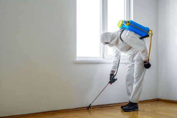 Best Termite Control Services  in Rutherfordton, NC