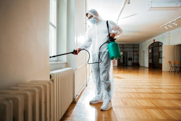 Best Affordable Pest Control Services  in Rutherfordton, NC