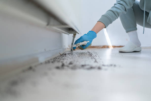 Best Affordable Pest Control Services  in Rutherfordton, NC