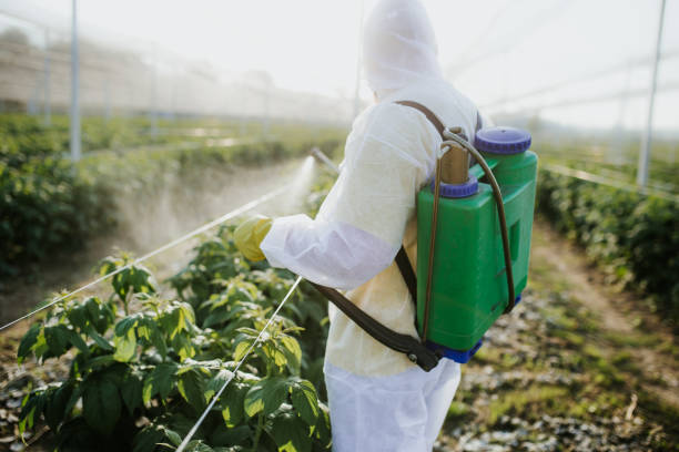 Best Pest Prevention Services  in Rutherfordton, NC